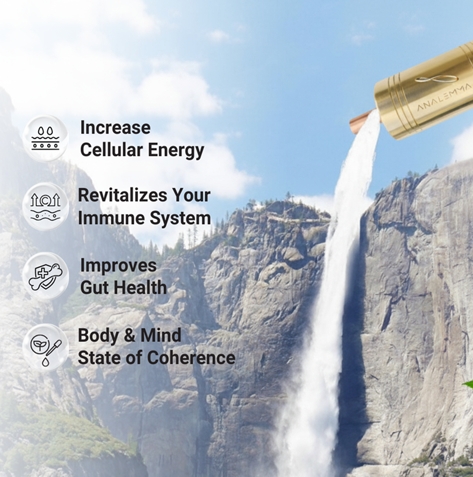 Whole House Analemma - aplus2 desktop