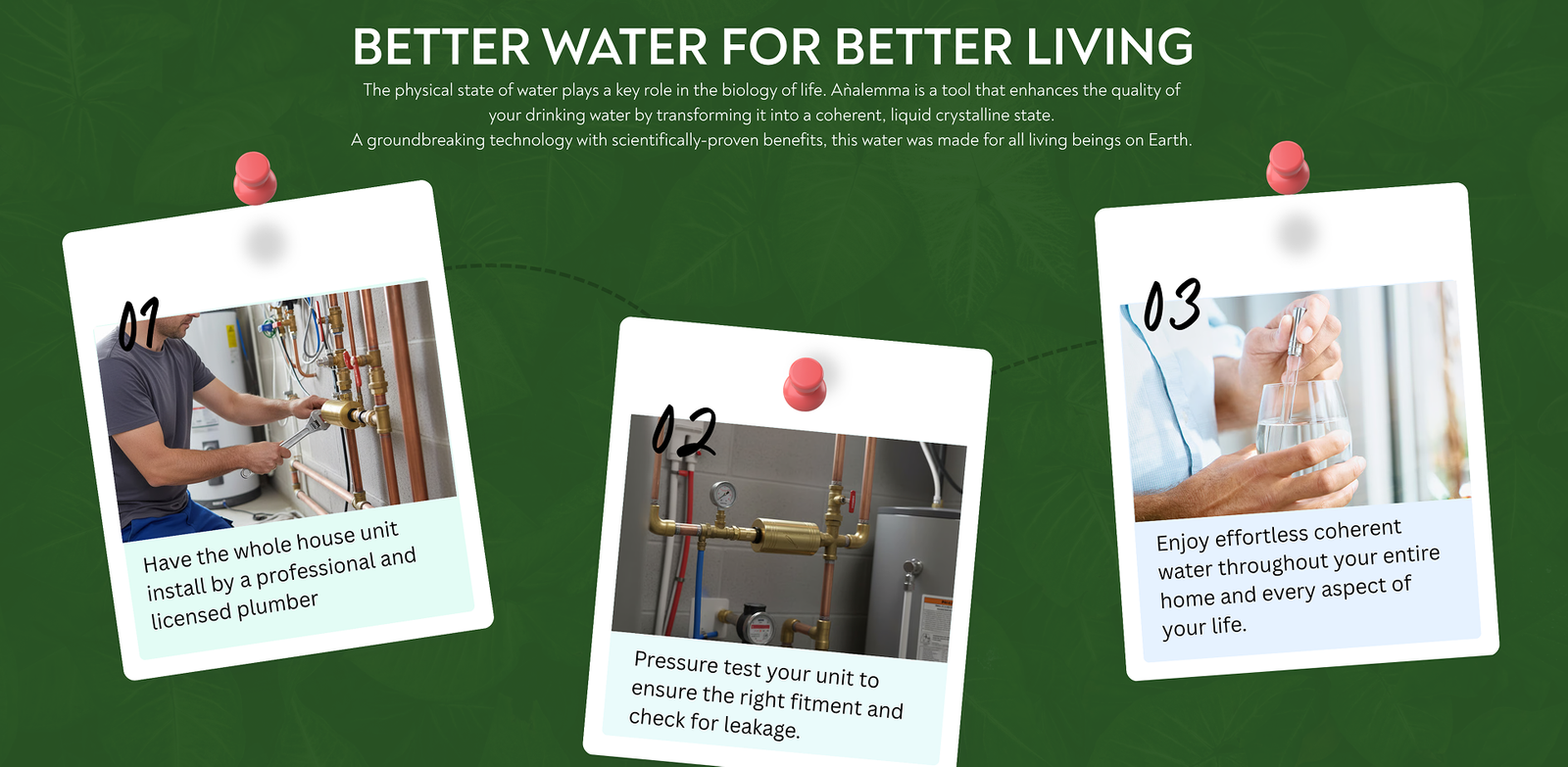 Whole House Analemma - aplus4 desktop