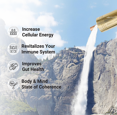 Whole House Analemma - aplus2 mobile