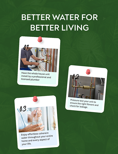 Whole House Analemma - aplus4 mobile