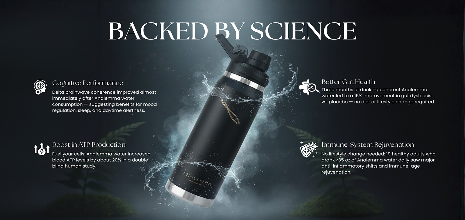 Analemma Water Bottle - aplus1 desktop