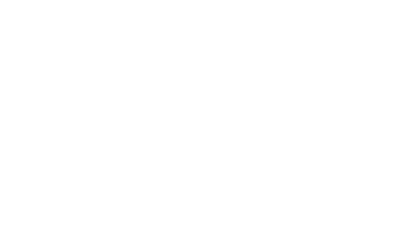 Wellauraa Logo
