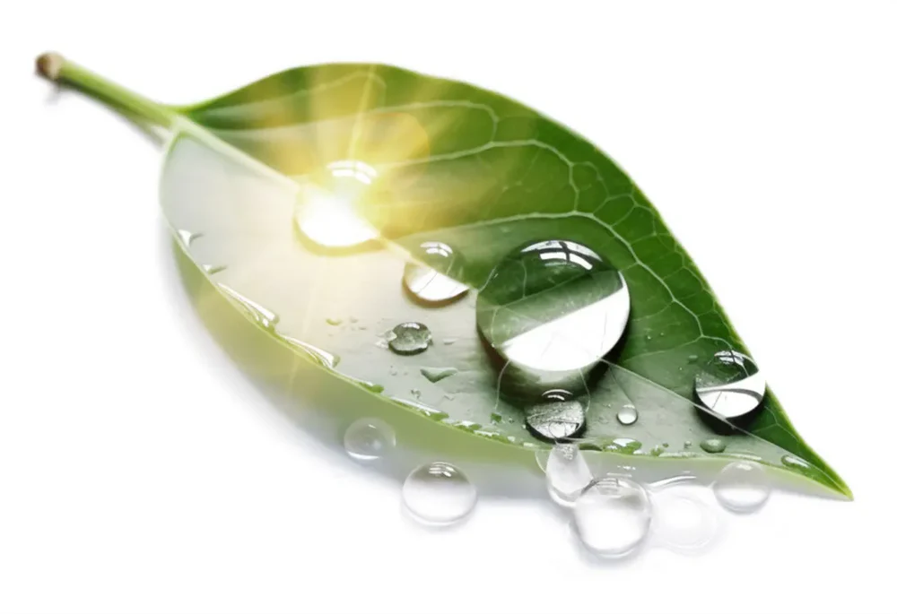 Biophotons   -   a   Guiding   Light   to   Aǹalemma   Water